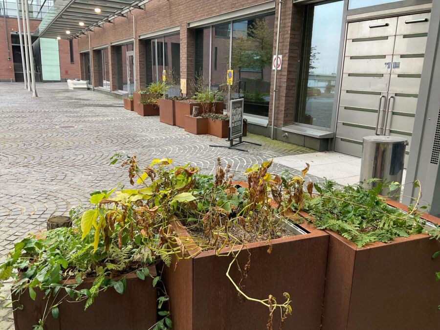 Featured image for “Marraskuu – syysvärein talveen valmistautumista”