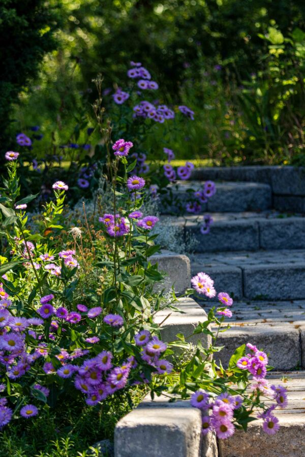 Featured image for “Hyötytarha jyrkkään rinnepihaan”